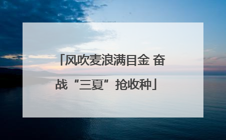 风吹麦浪满目金 奋战“三夏”抢收种