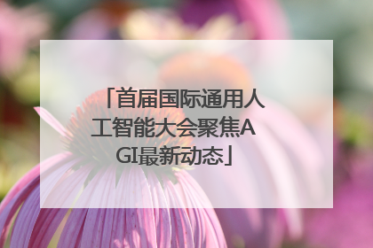 首届国际通用人工智能大会聚焦AGI最新动态