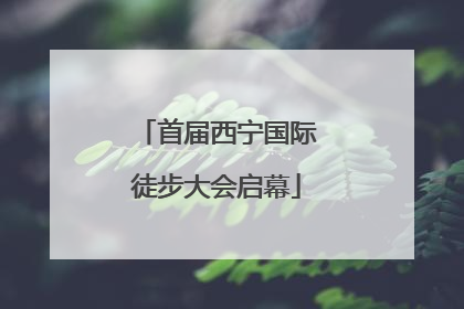 首届西宁国际徒步大会启幕