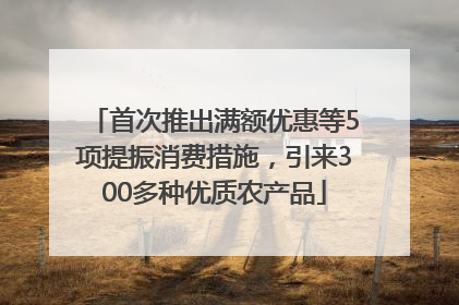 首次推出满额优惠等5项提振消费措施，引来300多种优质农产品