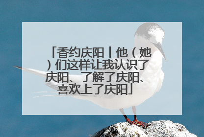 香约庆阳丨他（她）们这样让我认识了庆阳、了解了庆阳、喜欢上了庆阳
