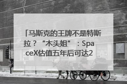 马斯克的王牌不是特斯拉？“木头姐”：SpaceX估值五年后可达2.5万亿美元！