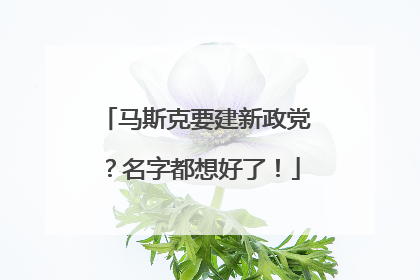 马斯克要建新政党？名字都想好了！
