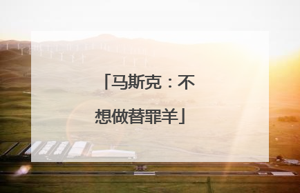 马斯克：不想做替罪羊