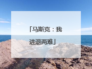 马斯克：我进退两难
