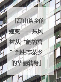 高山茶乡的蝶变——东风村从“鹧鸪营”到生态茶乡的华丽转身