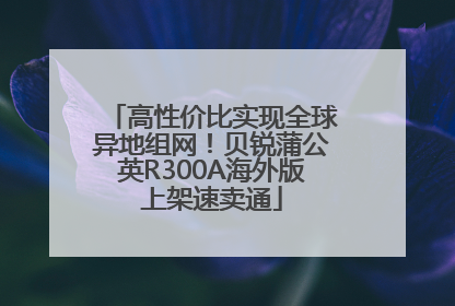 高性价比实现全球异地组网！贝锐蒲公英R300A海外版上架速卖通