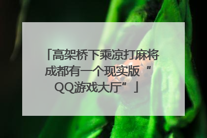 高架桥下乘凉打麻将 成都有一个现实版“QQ游戏大厅”