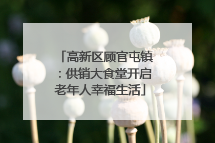 高新区顾官屯镇：供销大食堂开启老年人幸福生活