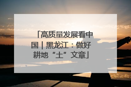 高质量发展看中国｜黑龙江：做好耕地“土”文章