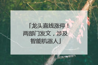龙头直线涨停！两部门发文，涉及智能机器人