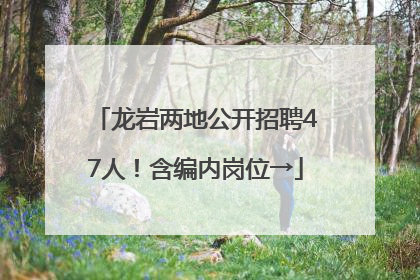 龙岩两地公开招聘47人！含编内岗位→