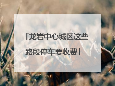 龙岩中心城区这些路段停车要收费
