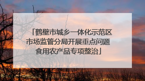鹤壁市城乡一体化示范区市场监管分局开展重点问题食用农产品专项整治