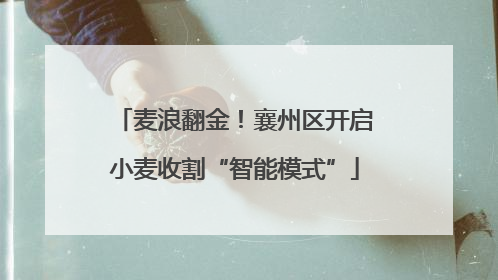 麦浪翻金！襄州区开启小麦收割“智能模式”