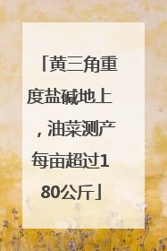 黄三角重度盐碱地上，油菜测产每亩超过180公斤