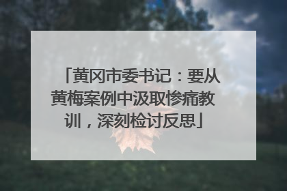 黄冈市委书记：要从黄梅案例中汲取惨痛教训，深刻检讨反思