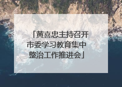 黄喜忠主持召开市委学习教育集中整治工作推进会