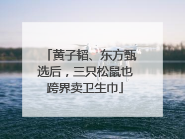 黄子韬、东方甄选后，三只松鼠也跨界卖卫生巾