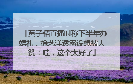 黄子韬直播时称下半年办婚礼，徐艺洋透露设想被大赞：哇，这个太好了
