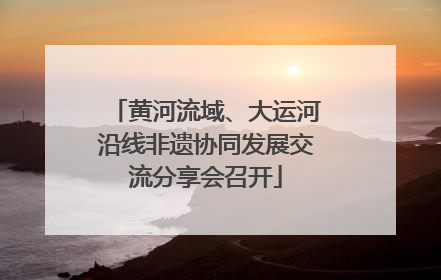 黄河流域、大运河沿线非遗协同发展交流分享会召开