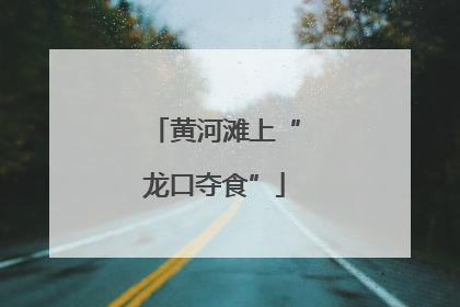 黄河滩上“龙口夺食”