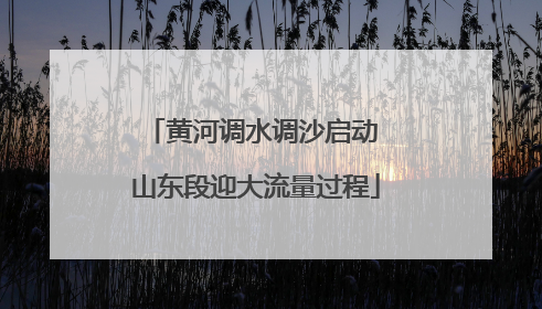 黄河调水调沙启动 山东段迎大流量过程