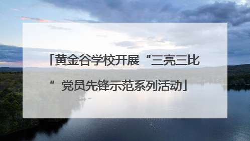 黄金谷学校开展“三亮三比”党员先锋示范系列活动