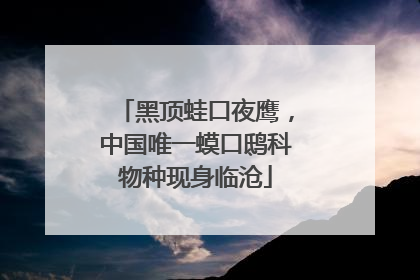 黑顶蛙口夜鹰，中国唯一蟆口鸱科物种现身临沧