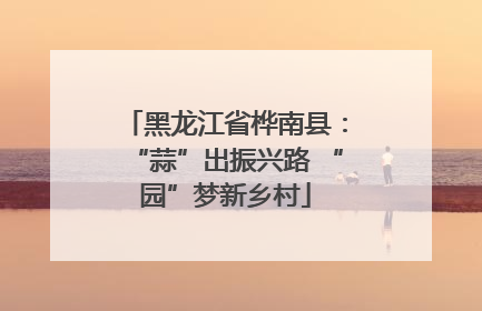 黑龙江省桦南县：“蒜”出振兴路 “园”梦新乡村
