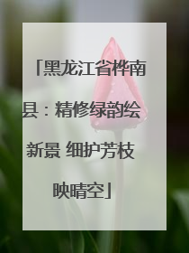 黑龙江省桦南县：精修绿韵绘新景 细护芳枝映晴空