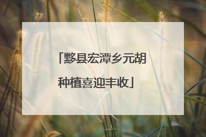 黟县宏潭乡元胡种植喜迎丰收