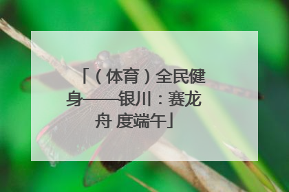 （体育）全民健身——银川：赛龙舟 度端午