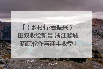 （乡村行·看振兴）一田双收绘新景 浙江婺城药膳轮作喜迎丰收季