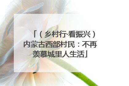（乡村行·看振兴）内蒙古西部村民：不再羡慕城里人生活
