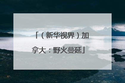 （新华视界）加拿大：野火蔓延