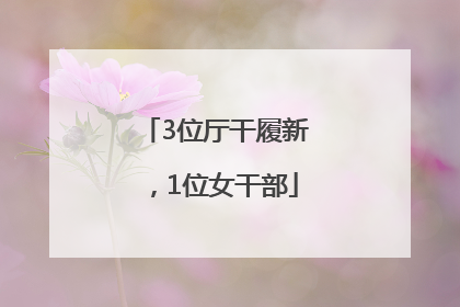 3位厅干履新，1位女干部