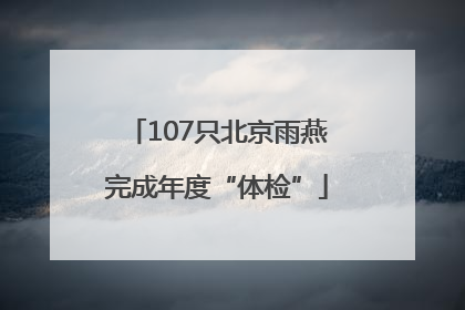 107只北京雨燕完成年度“体检”