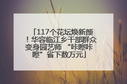 117个花坛焕新颜！华容临江乡干部群众变身园艺师 “咔嚓咔嚓”省下数万元