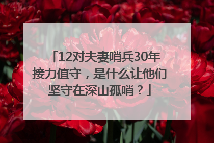 12对夫妻哨兵30年接力值守，是什么让他们坚守在深山孤哨？