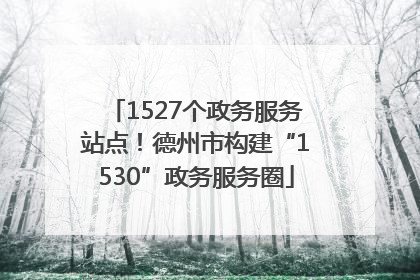 1527个政务服务站点！德州市构建“1530”政务服务圈