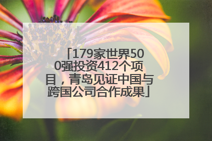 179家世界500强投资412个项目，青岛见证中国与跨国公司合作成果