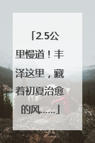 2.5公里慢道！丰泽这里，藏着初夏治愈的风……