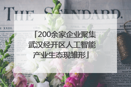 200余家企业聚集 武汉经开区人工智能产业生态现雏形