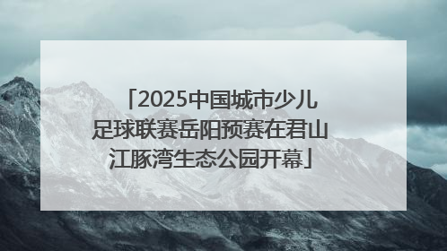 2025中国城市少儿足球联赛岳阳预赛在君山江豚湾生态公园开幕