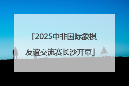 2025中非国际象棋友谊交流赛长沙开幕