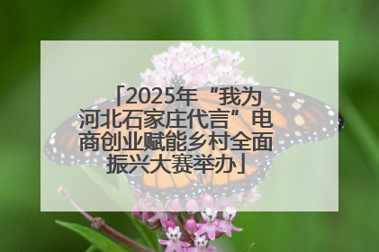 2025年“我为河北石家庄代言”电商创业赋能乡村全面振兴大赛举办