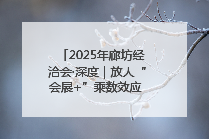 2025年廊坊经洽会·深度｜放大“会展+”乘数效应 打造消费新场景