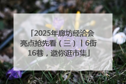 2025年廊坊经洽会亮点抢先看（三）丨6街16巷，邀你逛市集