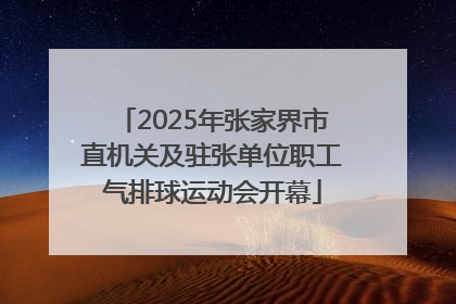 2025年张家界市直机关及驻张单位职工气排球运动会开幕